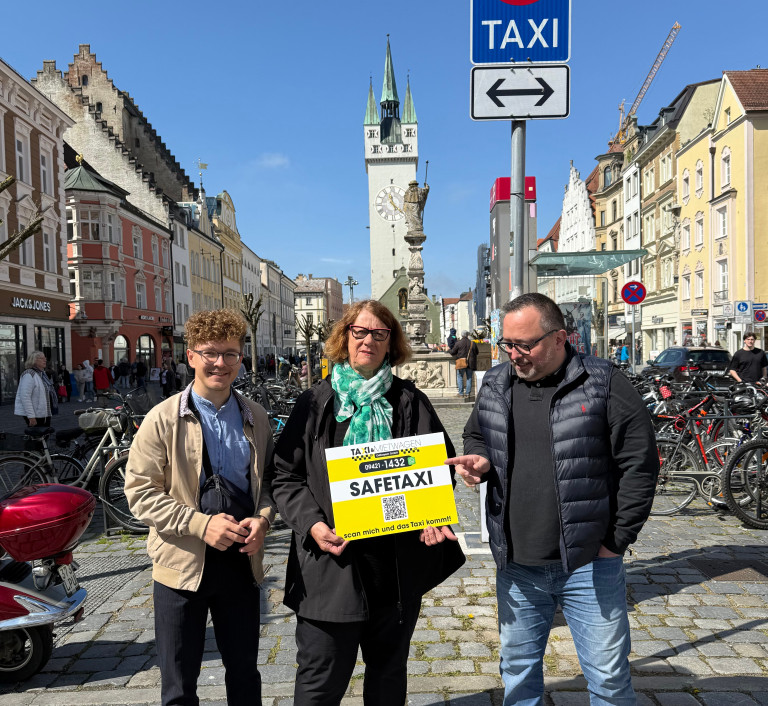 Safe Taxi
